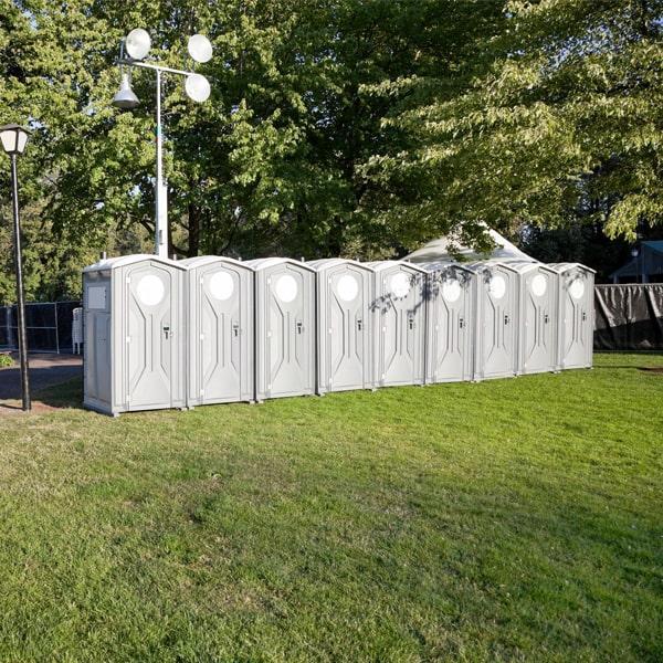 Deluxe Flushable Portable Toilets